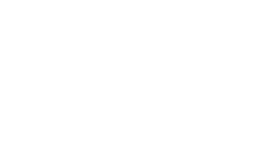 Skatedealer.de